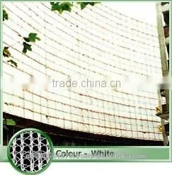 Construction Protect Scaffolding Net thumbnail-6