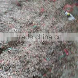 Chinese Best Quality Pepper Nail Clean Machine thumbnail-3