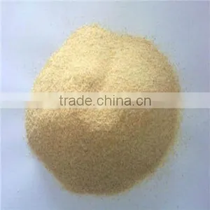 Bulk Dehydrated Garlic Powder 80-120 Mesh Price Quality Choice thumbnail-1