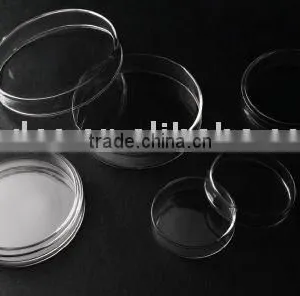 Petri Dish thumbnail-1