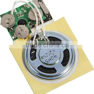 Flash Light Music Module Sound, Clothes Inside, Bags. thumbnail-2