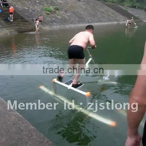 Water Bird, Water Bird Price, Water Bird for Sale thumbnail-2