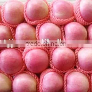 Red Color and Fresh Style Fuji Apple thumbnail-4