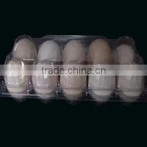 PET / PVC Hatching Plastic Quail Egg Tray for Sale Quality Choice thumbnail-1