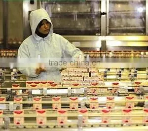 Brick Box Filling Line for Milk China thumbnail-1