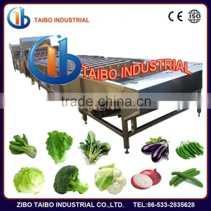 Ozone Fruit and Vegetable Washer /Vegetable Washing Machine thumbnail-1
