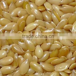 Golden and Brown Flax Seed thumbnail-1