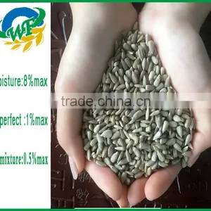 New Crop Chinese Sunflower Seed Kernel for Export thumbnail-3