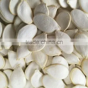 2015 Best Cheaper Snow White Pumpkin Seed for Sale thumbnail-4