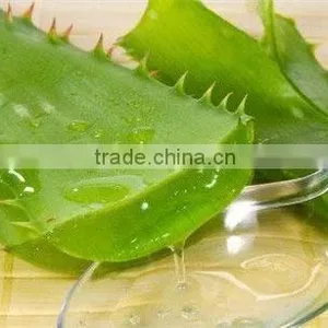100% Pure Aloe Vera Gel thumbnail-4