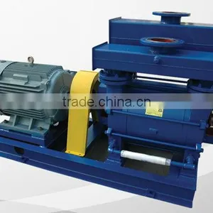 2BE1 Serise Paper Making Pump thumbnail-1