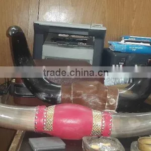 Natural Horn With Stands thumbnail-2