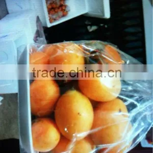 Fresh Mango Plum thumbnail-1