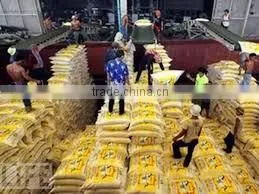 Vietnamese Long White Rice 5% Broken - High Quality GOOD FOR HEALTH thumbnail-1