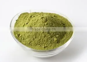 Dehydrated Mint Flakes / Powder thumbnail-1