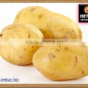 Potato thumbnail-1