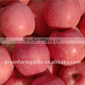 2014 New Fuji Apple thumbnail-1