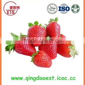 Bulk High Quality 25-35mm Chinese Fresh Strawberry thumbnail-1