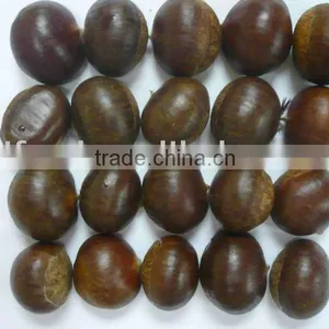 Good Food Bottom Price Fresh New Crop Chestnut thumbnail-1