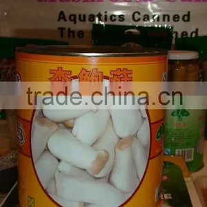 Canned Pleurotus Eryngii thumbnail-3