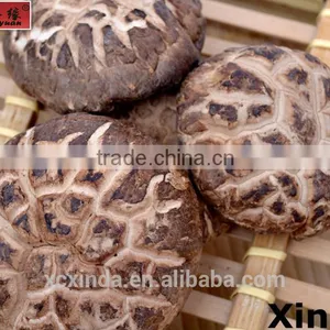 Top Quality Flower Mushroom,2015 Top Dried Shiitake Mushroom thumbnail-1