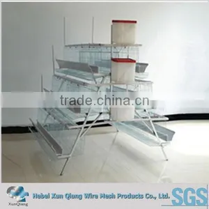 Hot Galvanized Chicken Wire Mesh Cage for Egg Laying Hens thumbnail-1