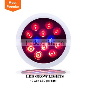 Advanced Plantinum Led Grow Lights 12w Full Spectrum Led Grow Lights 4 Leds 3red+blue Lamp for Flowerring thumbnail-2