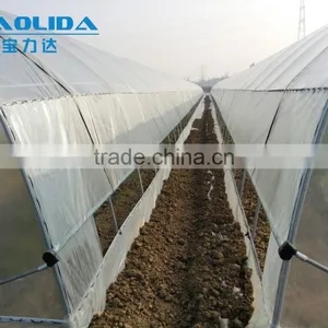 BaoLiDa Cheap Tunnel Greenhouse Agricultural Plastic Film Greenhouse thumbnail-3