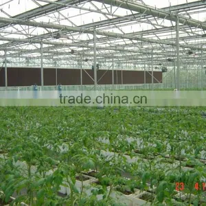 Vegetable Greenhouse thumbnail-3
