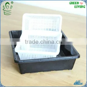 PP HOT SALE Plastic Growing Tray thumbnail-6