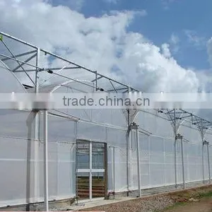 Large Size Agricultural Plastic Film Greenhouse for Planting Vegetable thumbnail-2