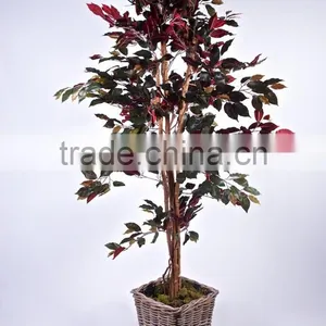Hot Sale Bonsai Plant Artificial Ficus Tree for Indoor &outdoor Decor thumbnail-1