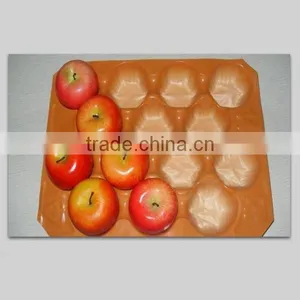 PP 30# /36# 29*49cm Kiwi Punnet Tray thumbnail-3