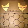 Hexagonal Wire Mesh thumbnail-2