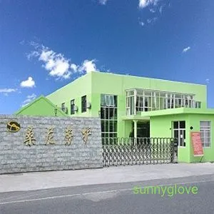 Rudong Sunny Gloves company overview - view 1 thumbnail
