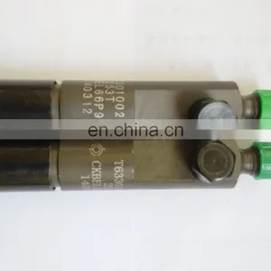 OEM Injector Nozzle Assembly T63301002 CKBEL66P972 for Lovol P1000 Engine thumbnail-2