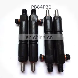 YTO Dongfanghong Engine Parts Injector Assembly PB84P30 thumbnail-4