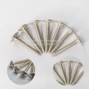 C1022 Plastic Steel Frame Screw Truss Head Washer(flange Hd) Non-standard Screw Factory thumbnail-1