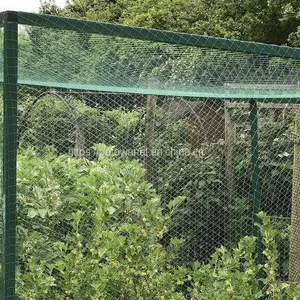 Agriculture Garden Protection Net Mesh High Strength HDPE Warp Knitted Green Bird Netting thumbnail-5