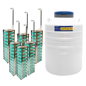 175L Liquid Nitrogen Dewar Semen Tank thumbnail-1