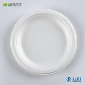 Disposable Biodegradable 6 INCH PLATE Take Away Sugarcane Outdoor Dining and Painting thumbnail-3