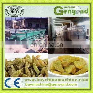 Raisin Cleaning Machine for the Raisin Processing thumbnail-2