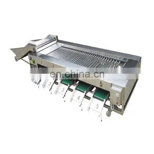 Fruit Sorting and Grading Machine for Apple/ Tomato/ Kiwi Fruit/ Potato/ Pineapple thumbnail-1