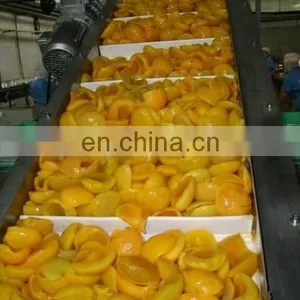 ISO Best Fruit Preserves Factory thumbnail-3