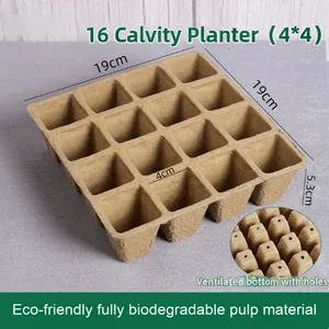 Paper Pulp Seedling Tray, 1 Year Warranty, Technical Support, Standard Compliant, 100% Recyclable thumbnail-2