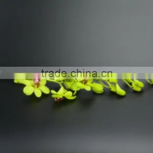 Super Quality Hot Sale Mini Wholesale Violet Orchid Cattleya thumbnail-2