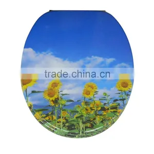 Bathroom Transparent Crystal Resin Seat Cover thumbnail-1