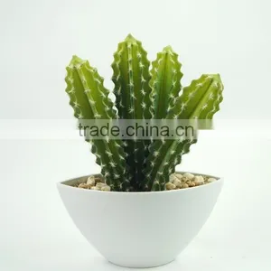 Factory Price Hot Sale Plastic Bonsai Home Artificial Cactus Plants thumbnail-1