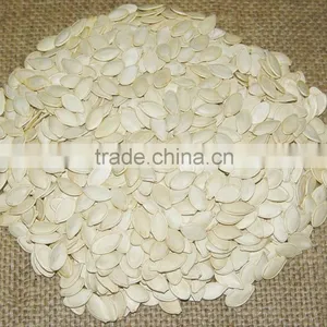 PUMPKIN SEED/SHINE SKIN PUMPKIN SEED thumbnail-4