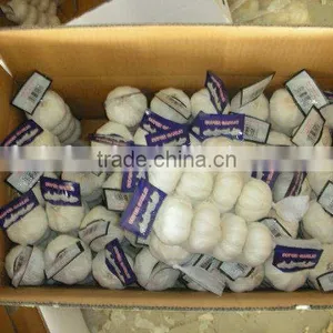 Garlic Price in China thumbnail-1